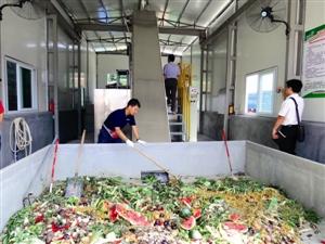 餐厨垃圾 餐厨垃圾